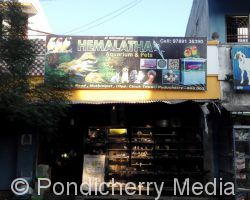 Hemalatha Aquarium & Pets