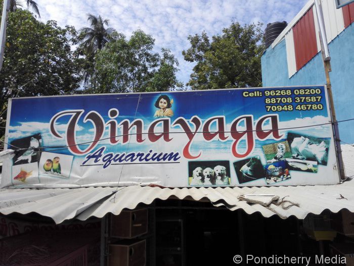 Vinayaga Aquarium