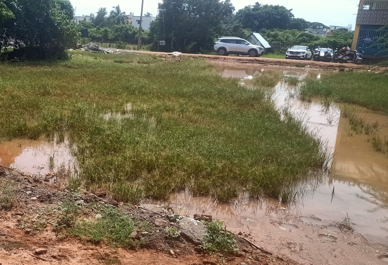 plot for sale in moolakulam