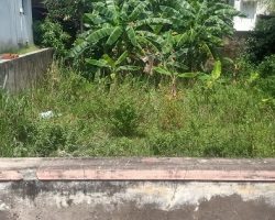 plot for sale in moolakulam