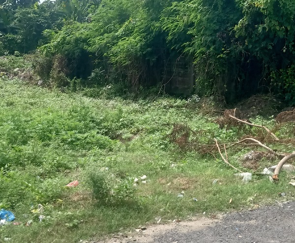plot for sale in moolakulam